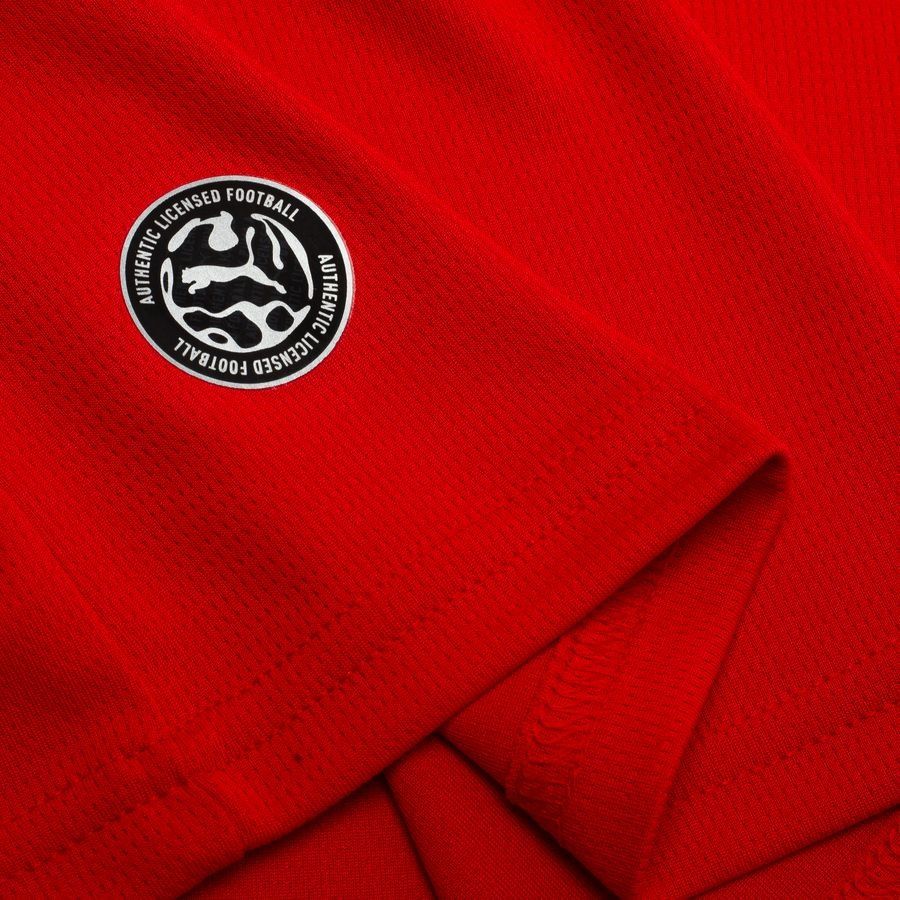 Austria World Cup 2026 Home Replica Jersey Adults